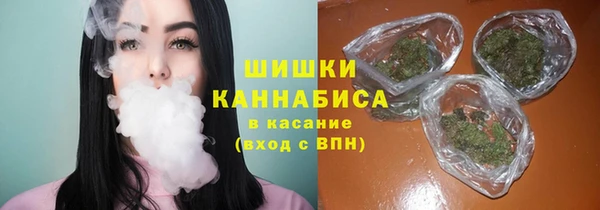 ECSTASY Лиски